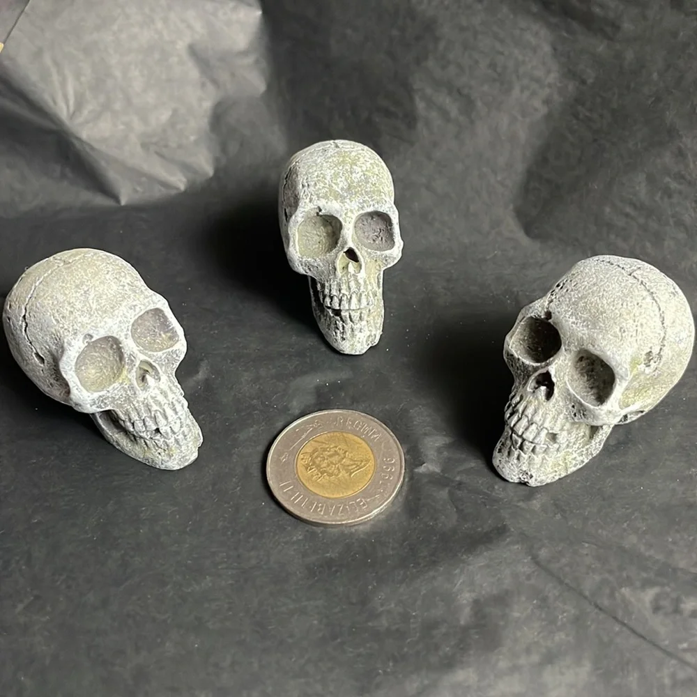 ✨ Host Pick! Mini Skulls for Aquarium or Halloween decoration (set of three)✨ - Picture 1 of 6